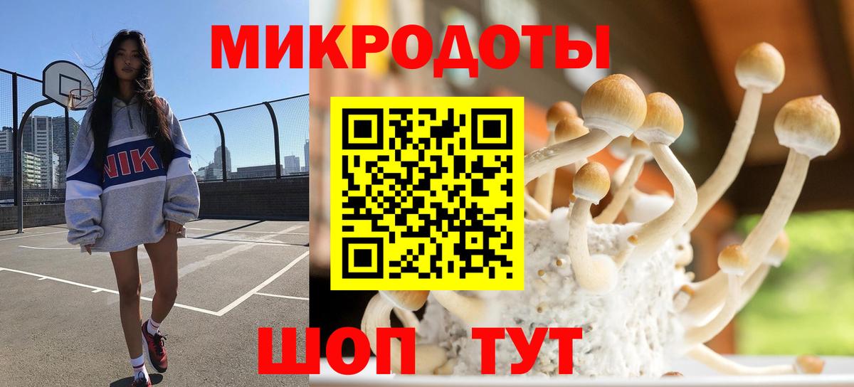 Псилоцибиновые грибы Psilocybine cubensis Новочебоксарск